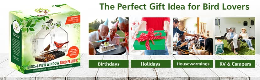 Nature Anywhere Window Bird Feeder - Transparent Acrylic Bird Feeders for Outdoors - Enhanced Suction Grip, Bird Watching for Cats, Easy-to-Clean, Outdoor Birdhouse Feeder (1 Unit)