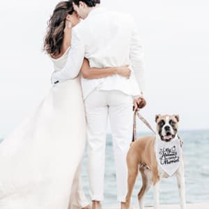 Engagement Gift, My Humans are Getting Married Dog Bandana, Wedding Photo Prop, Pet Scarf, Dog Engagement Announcement, Pet Accessories (Black) B09FDTW997