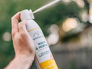 Wondercide - Wasp and Hornet Killer Aerosol Spray with Natural Essential Oils - Kill Wasps, Hornets,and Yellow Jackets - for Porch, Patio, and Outdoor Areas - Pet and Family Safe - 10 oz - 2 Pack