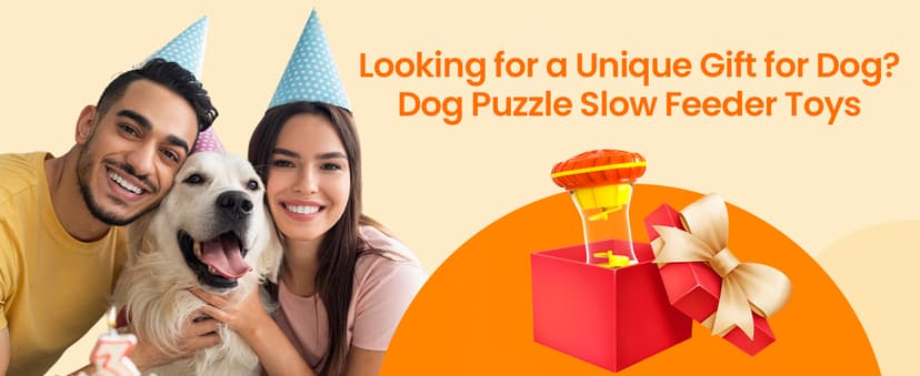 BoYoYo Interactive Dog Toys, Dog Puzzle Toys for Smart, Dog Enrichment Toy to Keep Them Busy, Treat Dispensing Toy Slow Puzzles Feeder, Yellow B0D4V9V39Y