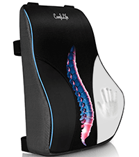 ComfiLife Premium Gel & Memory Foam Seat Cushion – Doctor Recommended Office Chair Cushion, Car Seat Cushion – Chair Cushions for Back & Sciatica Pain Relief – Seat Cushions for Office & Desk (Black)