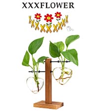 XXXFLOWER Plant Terrarium with Wooden Stand, Air Planter Bulb Glass Vase Metal Swivel Holder Retro Tabletop for Hydroponics Home Garden Office Decoration - 3 Bulb Vase