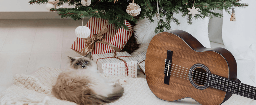 Winzz Classical Guitar 4/4 Adult Classical Guitar for Beginners 39 Inches Brown