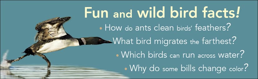Bird Trivia: Funny, Strange and Incredible Facts about North American Birds