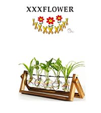 XXXFLOWER Plant Terrarium with Wooden Stand, Air Planter Bulb Glass Vase Metal Swivel Holder Retro Tabletop for Hydroponics Home Garden Office Decoration - 3 Bulb Vase