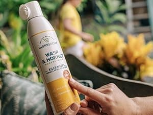 Wondercide - Wasp and Hornet Killer Aerosol Spray with Natural Essential Oils - Kill Wasps, Hornets,and Yellow Jackets - for Porch, Patio, and Outdoor Areas - Pet and Family Safe - 10 oz - 2 Pack