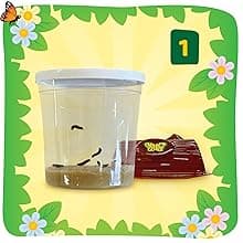 Insect Lore Butterfly Garden Kit – 10 Live Caterpillars, Habitat, STEM Journal, 2 Chrys-a-lid Holding Logs & Feeder – Grow & Release Painted Lady Butterflies – Educational Science Toy