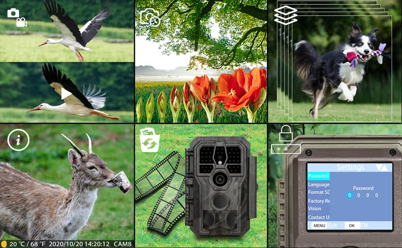 GardePro E5S Trail Camera (Non-Cellular, Non-WiFi), 64MP Photo & 1296P HD Video, 0.1s Trigger, 100ft No-Glow Night Vision, Motion Activated Wildlife Camera