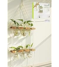 Unique Gardening Birthday Gifts for Women Plants Lovers, Home Office Garden Decor Planter - 3 Bulb Glass Vases Renmxj Plant Propagation Station, Plant Terrarium with Wooden Stand B096VDR4TM