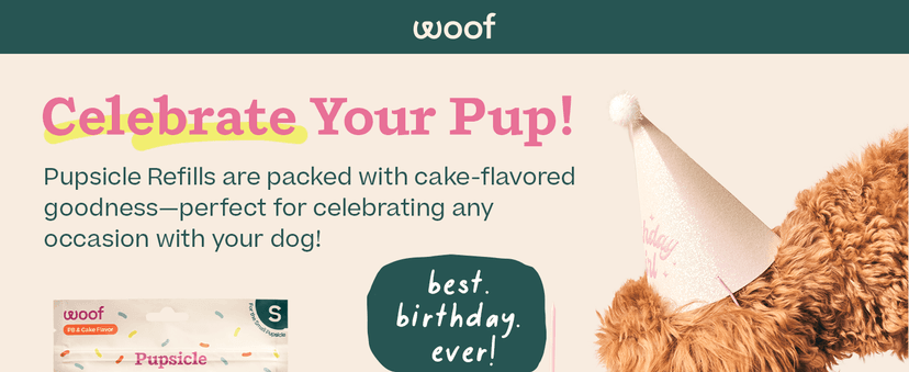 WOOF Pupsicle Birthday Pops - Healthy Dog Treats - Pre-Made Pupsicle Refills - Wholesome Ingredients - Naturally Sweet - Cake-Flavored Birthday Treat for Dogs - XL