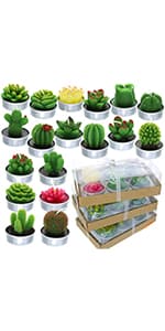 GIFTEXPRESS 18 Pcs Succulent Cactus Candles No Repeat Style, Delicate Smokeless Scented Tealight Candles for Home Décor, SPA, Wedding, Valentine's Day, Birthday Gift, Anniversary Celebration