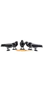 Heerweiyi Mallard Duck Decoys Popular New Material EVA Collapsible Plastic Duck Decoy Mallard Duck Decoys,Easy to Carry and use, More Cost-Effective.