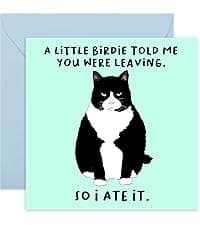 CENTRAL 23 - Funny Birthday Card - 'Happy Birthday To My Otter Half' - For Boyfriend Girlfriend Wife Husband Fiance - Cute Animal Humor - Comes with Fun Stickers