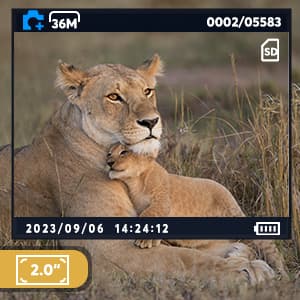 Trail Camera 3 Pack 36MP 1920P HD Game Camera with SD Cards, 0.2s Trigger Time Infrared Night Vision Motion Activated, IP66 Waterproof 2.0''LCD Wildlife Camera for Monitoring