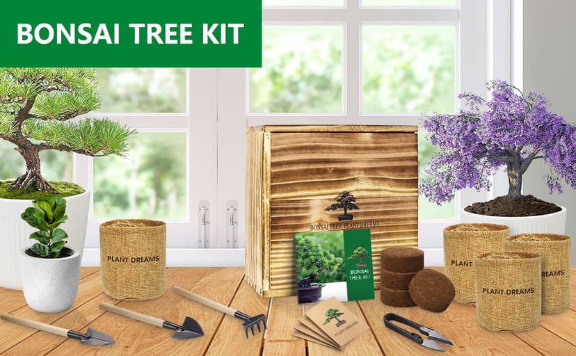 Bonsai Tree Kit – DIY Japanese Bonzai Trees with All-in-One Indoor Plant Growing Tools & Planters – Unique Gardening Gifts for Women, Men & Kids