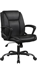 PayLessHere Home Office Chair Desk Computer Chair Adjustable Ergonomic Lumbar Support Armrest Executive with High Density Mesh 360 Degree Swivel Chair for Men Women Adults, Black