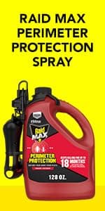 Raid Wasp & Hornet Killer Spray, Kills the Entire Nest, For Paper Wasps, Yellow Jackets, Mud Daubers, and more, 17.5 oz