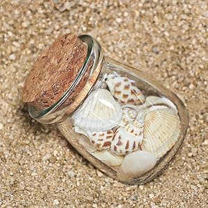 40 Pack Glass Favor Jars with Cork Lid, 3.4 oz Small Glass Bottles for Wedding Favor, Baby Shower, Party Favor, Gift Jars for Candy, Bonus Twine and Labels