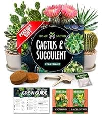 Bonsai Tree Kit - Gifts for Men & Women - Grow 4 Bonsai Trees - Unique Gardening Crafts for Adults, DIY Hobbies for Plant Lovers & Gardeners - Unusual Christmas Gift Ideas for Mom & Dad