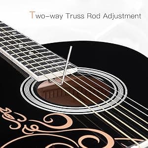 WINZZ AF227A 39 Inches Concert Acoustic Acustica Guitar with Full Kit, Delicate Vine
