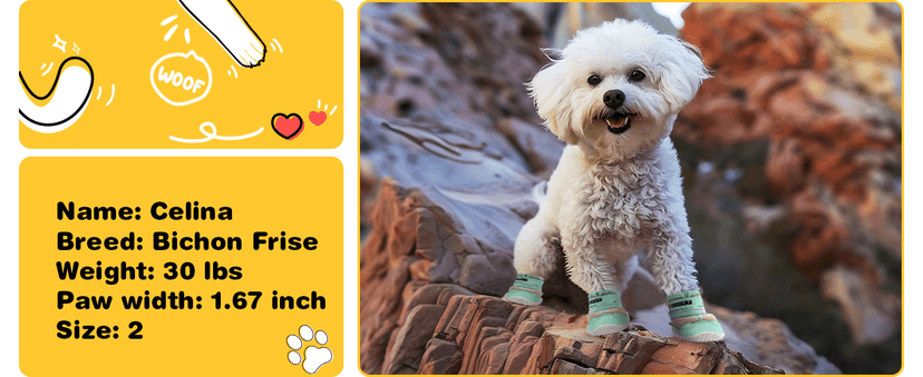 Hcpet Dog Shoes, Dog Boots & Paw Protectors for Winter Snowy Days, Rainy Weather, Outdoor Anti-Slip Sole Dog Booties for Hardwood Floor Black-Leg 1