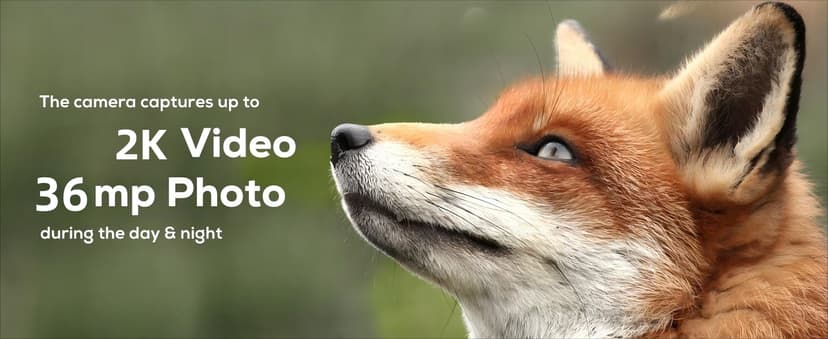 iZEEKER Trail Camera, HD Game Camera with 940nm No Glow Night Vision Motion Activated 0.2s Trigger Time, Hunting Camera No WiFi, IP66 Waterproof for Wildlife Monitoring Outdoor Security Deer Scouting