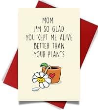 Cheerin Anniversary Day Cards for Him and Her - Romantic Greeting Card with Envelope - Sweet Birthday Card for Husband Wife Girlfriend Boyfriend