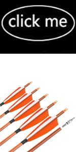 Compound Bow Kit, Hunting & Targeting, Limb Made in USA, Draw Weight 0-70 lbs Adjustable, Draw Length 9”-31",up to IBO 325FPS Speed, Package with Archery Hunting Accessories