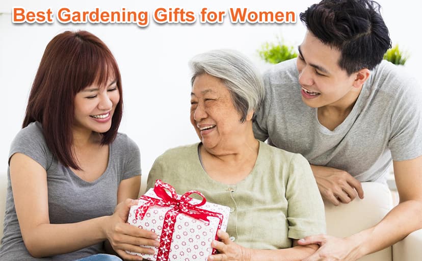 DLY Gardening Gloves for Women, Rose Gloves Gardening Thorn Proof, Long Garden Gloves for Women, Breathable Cowhide Leather Gauntlet (Medium, Blue)