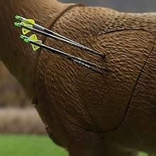 Rinehart 1/3 Scale Woodland Elk 3D Archery Target | Scaled Elk with Replaceable Vital Insert | Broadhead & Field Point Compatible | Self-Healing Foam | Made in USA