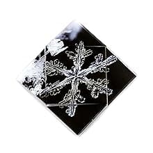 FOLDOLOGY - The Origami Puzzle Game! Brain Teasers for Tweens, Teens & Adults | Travel Game, Hands-On STEM Toy, Stocking Stuffer, Gift for Ages 10+ | Fold the Paper, Complete the Picture | 100 Puzzles