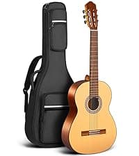 CAHAYA Acoustic Guitar Beginner Set - 41" Full Size Spruce Top Mahogany Body with Okoume Neck Rosewood Fingerboard, GA Cutaway Design, Balanced Rich Tone with Gig Bag, Strap, Capo, Strings & Picks