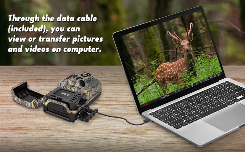 Trail Camera 3 Pack 36MP 1920P HD Game Camera with SD Cards, 0.2s Trigger Time Infrared Night Vision Motion Activated, IP66 Waterproof 2.0''LCD Wildlife Camera for Monitoring