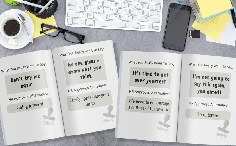 HR Approved Way To Say Things I Can’t Say Out Loud At Work (HR Approved Office Survival Series)