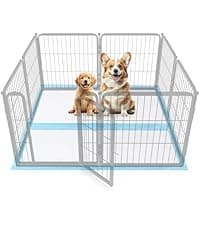 brainPLAY Halloween Puzzles: A Challenging Halloween Activity Book for Kids Ages 7 and Up with Over 200 Puzzles, Logic Games, Mazes and Hidden ... Spook-tacular Fun (brainPLAY Puzzle Books)