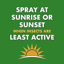 Spectracide Wasp & Hornet Killer Aerosol Kills Wasps, Hornets And Yellow Jackets On Contact & Eliminates The Nest, 12 Pack