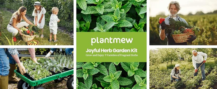 Christmas Gifts for Mom, Women, Her - 9 Herb Indoor Garden Starter Kit with Pots, Soil & Tools - Unique Birthday Gifts for Women, Housewarming Present for Wife - Grow Kitchen Windowsill Herbs