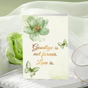 Sympathy Gifts for Loss of Loved One Sympathy Gift Baskets Miscarriage Care Package for Women Grief Bereavement Memorial Gift Ideas for Loss of Mother Dad Son Condolence Remembrance Hug in a Box Gifts B0H5X7C3GV