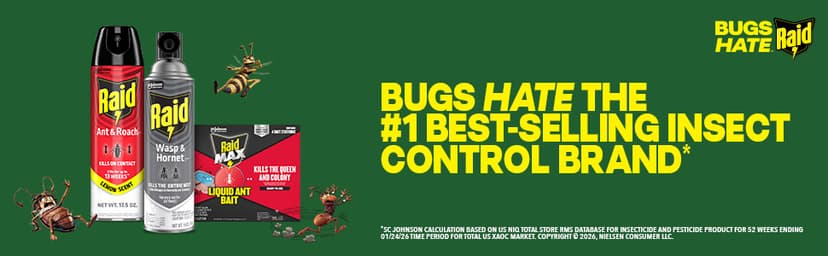 Raid Wasp & Hornet Killer Spray, Kills the Entire Nest, For Paper Wasps, Yellow Jackets, Mud Daubers and more, 14 oz (Pack of 2)