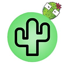 What's The Point? The Cactus Card Game - A Fun and Strategic Game for Families, Perfect for Family Play Night, Easy to Learn, Portable for Travel, and Ideal for Players of All Ages