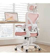 Ergonomic Office Chair, 330LBS Desk Chair with 3-Level Lumbar Support & Headrest, Breathable Mesh Backrest, Flip-Up Armrests for Home Office and Gaming, Black