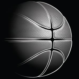 WILSON NBA Authentic Series Outdoor Basketballs