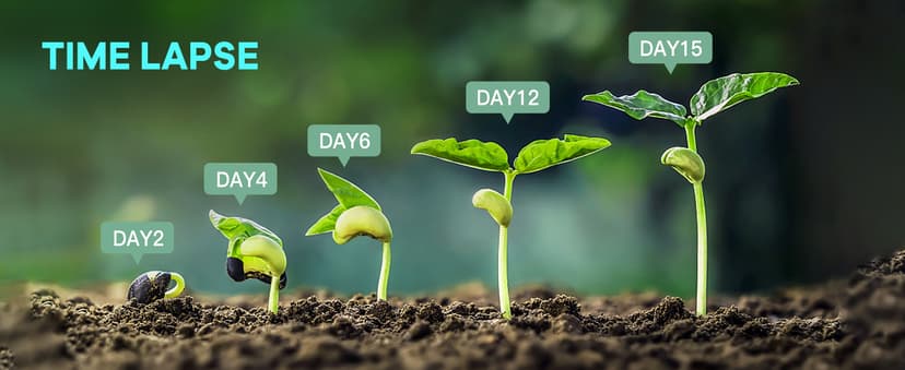 KJK Trail Camera 36MP 2.7K, Mini Game Camera with Night Vision 0.1s Trigger Time Motion Activated 130°Wide-Angle, Waterproof Trail Cam with 2.0” HD TFT Screen, Hunting Camera for Wildlife Monitoring