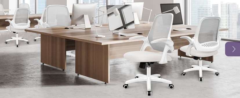 NEO CHAIR Office Desk Gaming Ergonomic Computer Chair with Lumbar Back Support Adjustable Height Swivel Rolling Wheels Flip-up Arms Mesh Chair for Home Vanity (Ivory)