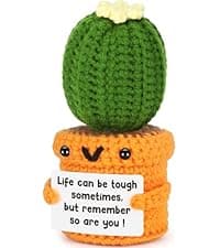 Funny Retirement Gift for Woman Men, Coworker Farewell Leaving Going Away Goodbye Gift for Women Coworker Boss Friend Teacher, Moving Away Off to College, Crochet Abandonment Cactus Decroration Card