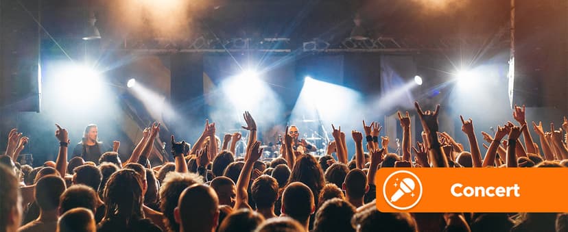 Adorrgon 12x42 HD Binoculars for Adults High Powered with Phone Adapter, Tripod and Tripod Adapter - Large View Binoculars with Clear Low Light Vision - Binocular for Bird Watching Cruise Travel