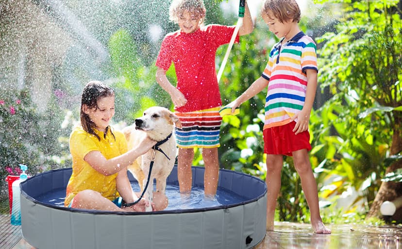 Foldable Dog Pool, Portable Pet Bath Tub and Kiddie Swimming Pool, Collapsible Bathtub for Puppies, Small, Medium and Large Dogs, Cats and Kids, 32 x 8 in, Gray