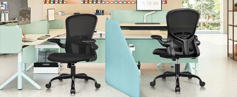 FelixKing Office Desk Chairs, Ergonomic PC Desk Chair with Wheels, Adjustable Lumbar Support and Height, Swivel Computer Chair with Flip-up Armrests, Ergo Mesh Backrest for Working (Black)