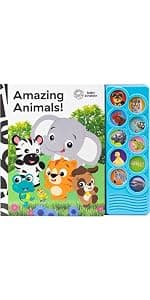 Baby Einstein - My First Library Board Book Block 12-Book Set - First Words, Letters, Counting, and More! - PI Kids 1503751864