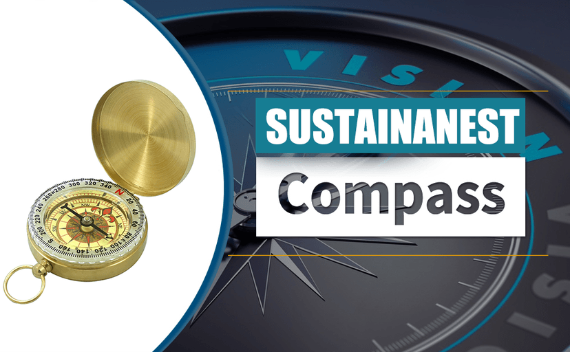 Waterproof Brass Compass for Hiking, Survival & Navigation – Large Dial Pocket Compass with Keychain Loop, Ideal Metal Brujula de Mano for Kids, Scouts, Hunting & Compass Gifts for Men